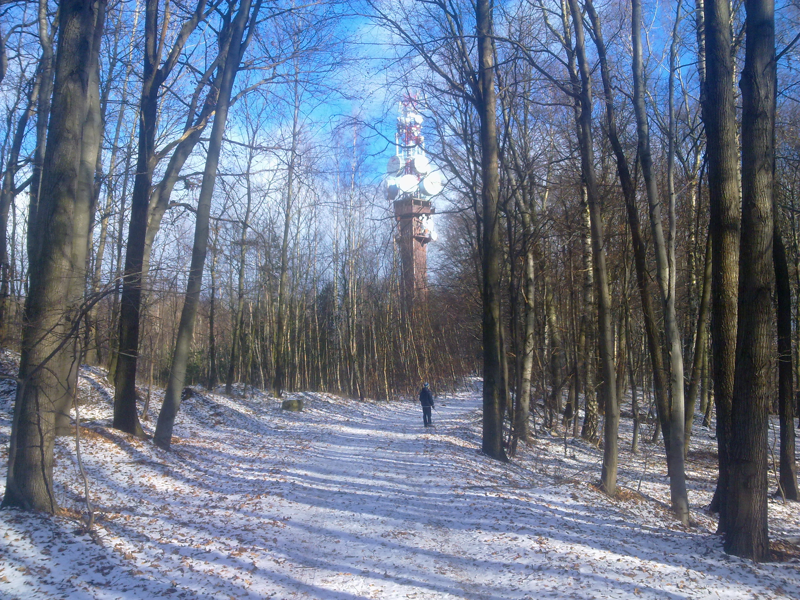 Vrtensk hora