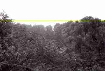 Pohled ze skly, srub je pod zbrem (nen vidt)