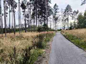 Na m�st� b�val�ho sen�ku na Kalamajce